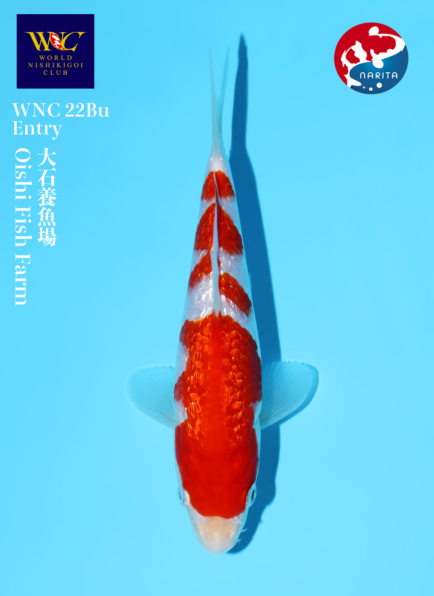 WNC Online Auction